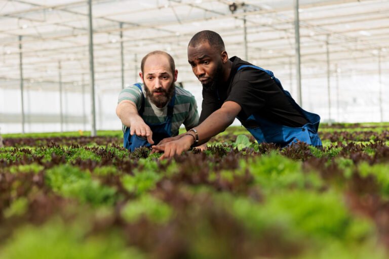 Nursery worker and owner checking young seedlings, the patience how long SEO takes to work requires
